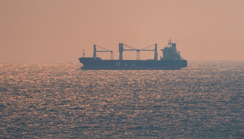 Un navire MSC au large de Colombo, au Sri Lanka, le 24 avril 2024.