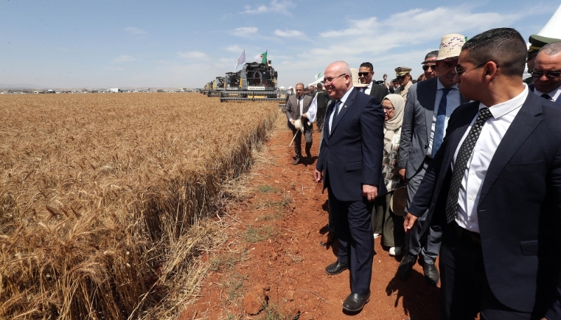 Youcef Cherfa lance la campagne de récolte du blé à Bouira, en Algérie, le 4 juin 2024.