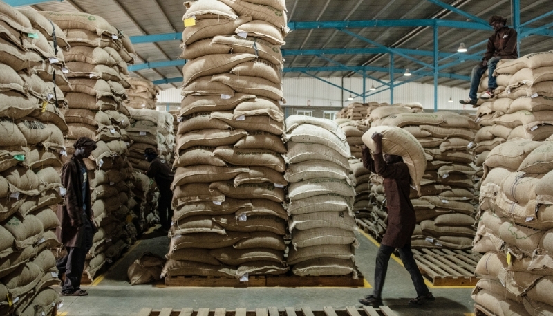 Un centre de stockage de café, le 18 juillet 2019, à Ruiru, au Kenya.