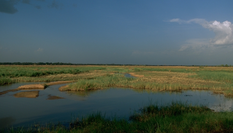 Vue dans le parc de Manovo-Gounda, en Centrafrique.